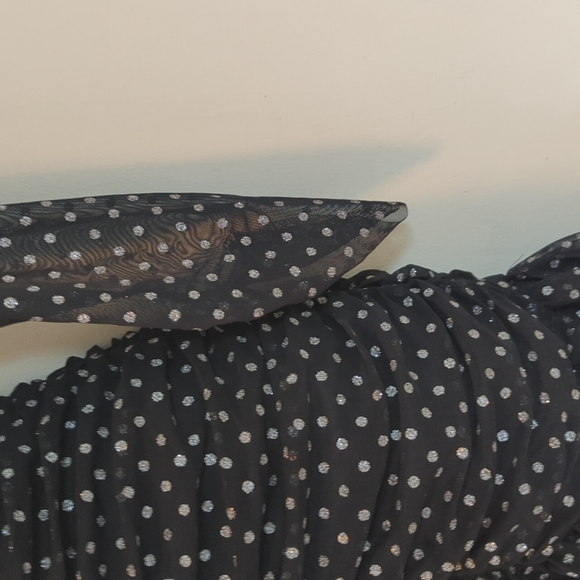 Zara Tulle Silver Dot Swiss Dress - Picture 9 of 16